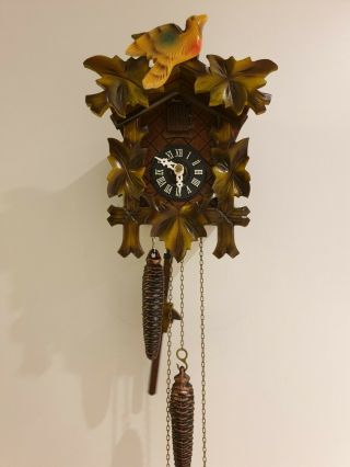 Cuckoo Clock By Anton Schneider West Germany Black Forest Cuckoo Clock 9 " Boxed