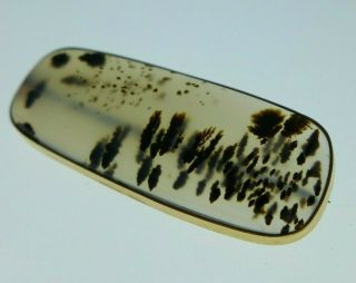 Antique Victorian Era 10k Gold Dendritic Moss Agate Brooch Pin