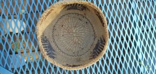 Antique Klamath / Modoc Basket.  Approximately 5 - 1/2 