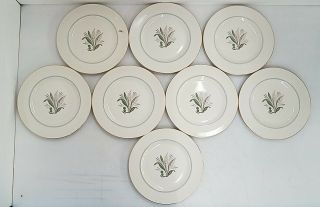 8 Vintage Pickard China 10.  5 " Dinner Plates