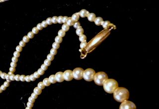 An Antique Victorian Seed Pearl Imitation Graduated Necklace 9 Ct Gold Clasp
