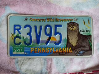 Vintage 2017 Pennsylvania Pa Wild Resources River Otter License Plate Tag