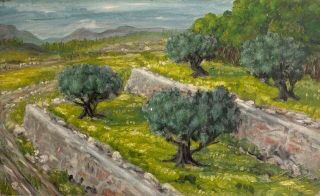 Felix Tisot (1909 - 1979) Signed Oil - Olive Groves Provence - 1960 