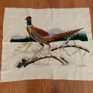 Vintage Embroidery Long Stitch Finished Pheasant Bird 26 " X 21 " Lovely