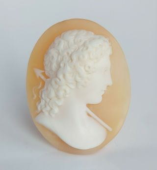 Fine Antique High Relief Carved Unmounted Loose Cameo Shell Brooch