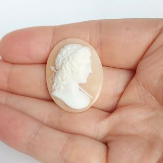 Fine Antique High Relief Carved Unmounted Loose Cameo Shell Brooch 3