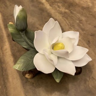 Vintage Andrea By Sadek White Magnolia With Bud On Branches