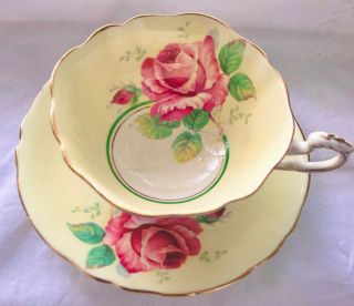 Paragon Cabbage Rose Tea Cup and Saucer Gold Trim 1930s 2