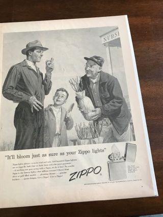 1956 Vintage Print Ad 10x14 " Zippo Lighter Man Buying Tree At Nursery With Boy