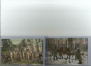 Post Cards [2] Northern Maine Hunting Scene Lady W Gun 11 Deer Hanging.  Vintage