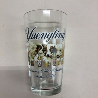 Vintage Yuengling Pint Beer Glass Dogs Pottsville Pa Brewing