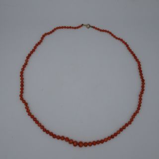 Antique strand of red coral graduated beads.  Italian.  c1900.  9.  5mm - 3.  5mm.  24.  6 grams 2