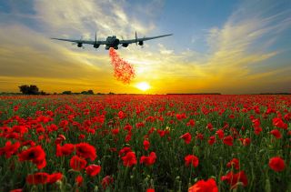 Avro Lancaster Poppy Drop Field Canvas Prints Various Sizes Delivery