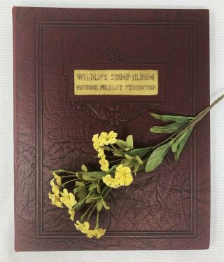 Vintage 1938 - 1948 National Wildlife Federation Wildlife Stamp Album Booklets