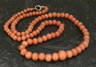 Antique Victorian Natural Graduated Coral Bead Necklace 9c Gold Clasp 17in 16.  7g