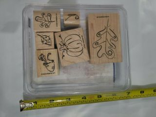 Stampin Up Fall Whimsy Set Of 6 Wood Rubber Stamps Retired Vintage 2003