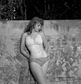 Bunny Yeager Estate Camera Negative Photograph Pretty Model In Bikini 1950s Nr