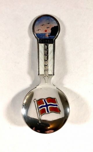 Norwegian Solid Silver Enamel Tea Caddy Spoon Theodor Olsens Eftf