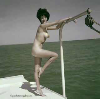 Bunny Yeager 1960s Color Camera Transparency Photograph Nude On Biscayne Bay Fab
