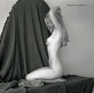 Bunny Yeager 60s Camera Negative Pretty Nude Blonde Model Artful Interior Frame