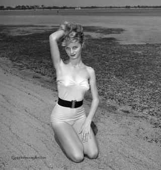 Bunny Yeager Pin - Up Camera Negative Bathing Beauty Hottie Alta Whipple 1960 Nr