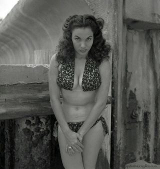 Bunny Yeager Estate 1950s Camera Negative Bikini Pin Up Girl Frame