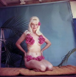 Bunny Yeager Color Camera Transparency Self Portrait Stunning Flower Bikini Pose