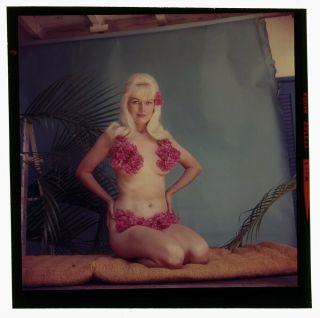 Bunny Yeager Color Camera Transparency Self Portrait Stunning Flower Bikini Pose 2