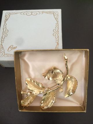 Coro Signed Vintage High End Brooch Pin 3 1/2” Gold Tone Leaf Holly Pin