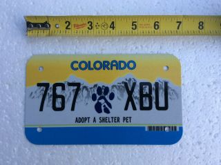 Colorado Adopt A Shelter Pet Motorcycle License Plate Dog Paw 767 Xbu