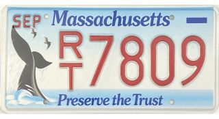 Massachusetts Preserve The Trust Whale License Plate Rt7809