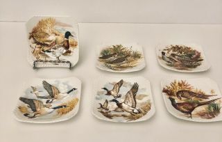 Royal Adderley Floral Vintage Bone China Fowl Bird Tea Bag Plates Set Of 6