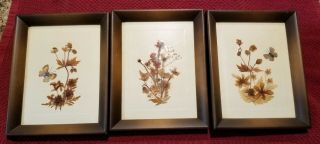 Vintage Framed Dried Flowers.  Set Of 3.  Dated 1975