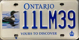 2006 Ontario Canada Wildlife Loon License Plate