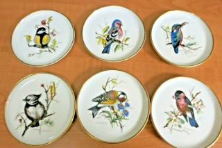 Vintage Ak Kaiser West Germany Set Of 6 Bird Plates Coasters 4” Diameter