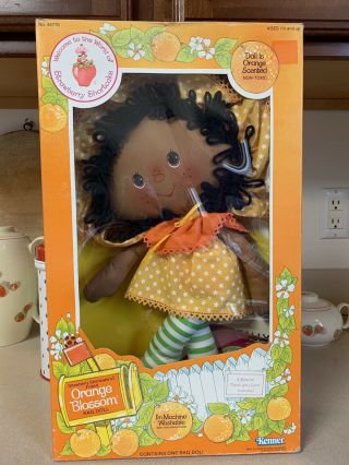 1983 Orange Blossom Rag Doll Strawberry Shortcake Doll Box Very Good