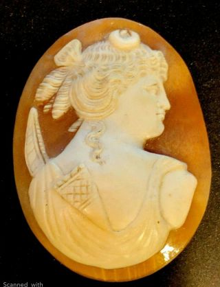 Antique Vintage Large Oval Shell Cameo Stone Diana 1 5/8  X 1 1/4 " Mb1