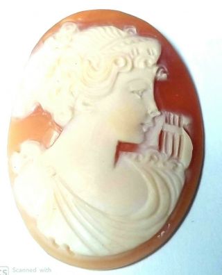 Nos Antique Vintage Large Oval Shell Cameo Stone Harp 37 Mm X 27.  5 Mm Mb205