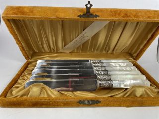 1847 Rogers Bros Mother Of Pearl Handle Butter Knife Set W/ Box Set (19