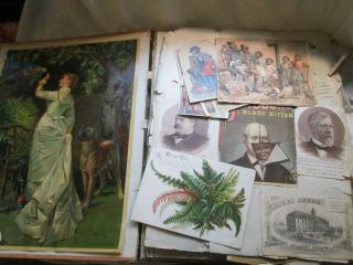 1880 ' s Antique Victorian Trade Card Scrapbook Album Die Cuts Litho Vtg 2