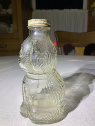 VINTAGE HAMMANS BEVERAGES Embossed CAT Bottle Bank SPRINGFIELD OH 2