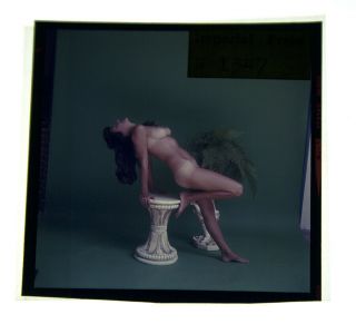 Bunny Yeager 1960s Color Camera Transparency Photo Judy Jones Nude Artful Pose 2