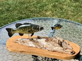 Smallmouth Bass After Bluegill Wood Carving Taxidermy Fish Fishing Mount
