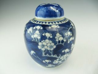 Chinese Porcelain Blue And White Prunus Ginger Jar With Lid