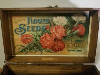 Antique Choice Flower Seeds Merchant Display Box D.  M.  Ferry Co.  Detroit