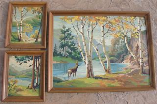 Vtg Complete Paint By Number Framed Art Painting Woods Trees Deer 3 Scene 1965