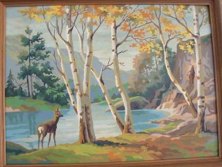 Vtg Complete Paint By Number Framed Art Painting Woods Trees Deer 3 Scene 1965 2