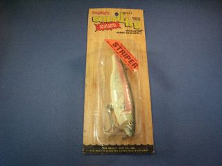 Bagley Shallow Small Fry Trout Fishing Lure (7sf5) Rt (1)