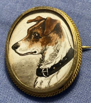 Antique Gold Mounted Brooch - Miniature Portrait Of Jack Russell Dog