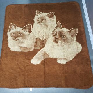 Vintage San Marcos 3 Kitten Blanket Tan Brown Large Reversible Cats 68 " X 66 "